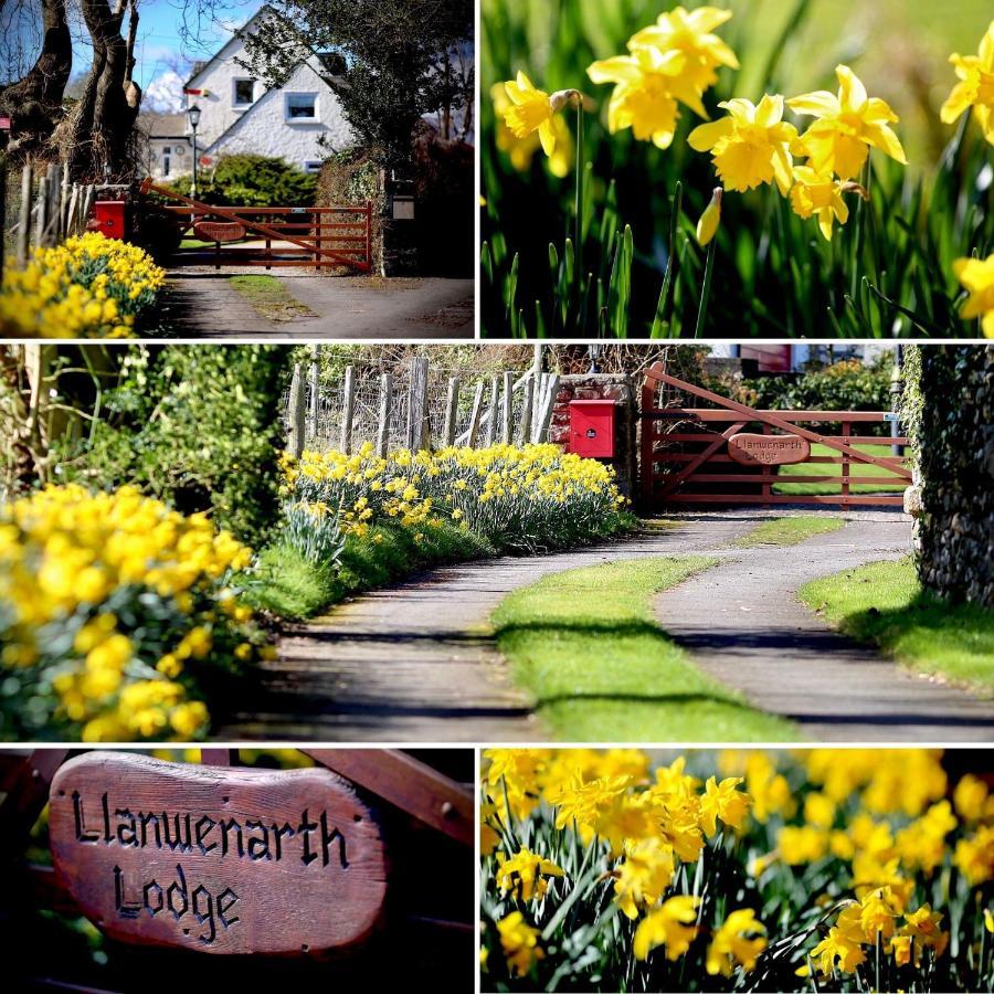Llanwenarth Cottage A Beautiful Place To Just Be. Abergavenny Ngoại thất bức ảnh